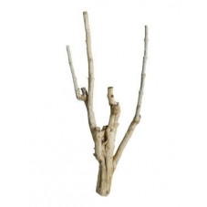 Branches décoratives -...