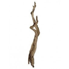 vente de branche décorative - bois flotté - 125 cm