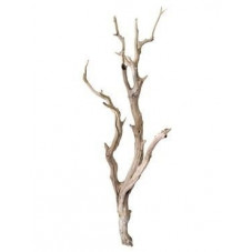 vente de branches décoratives - decowood naturel