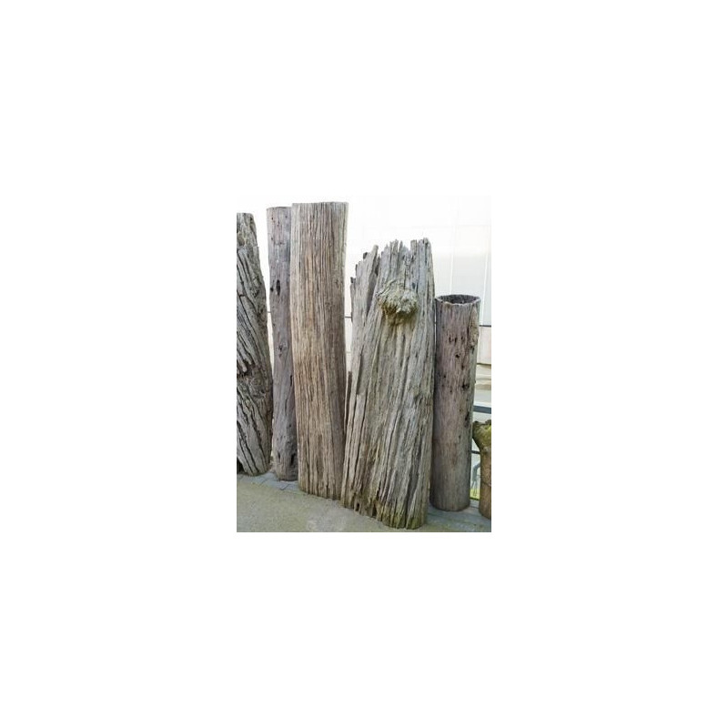 vente de tronc décoratif - bois flotté - 200 cm